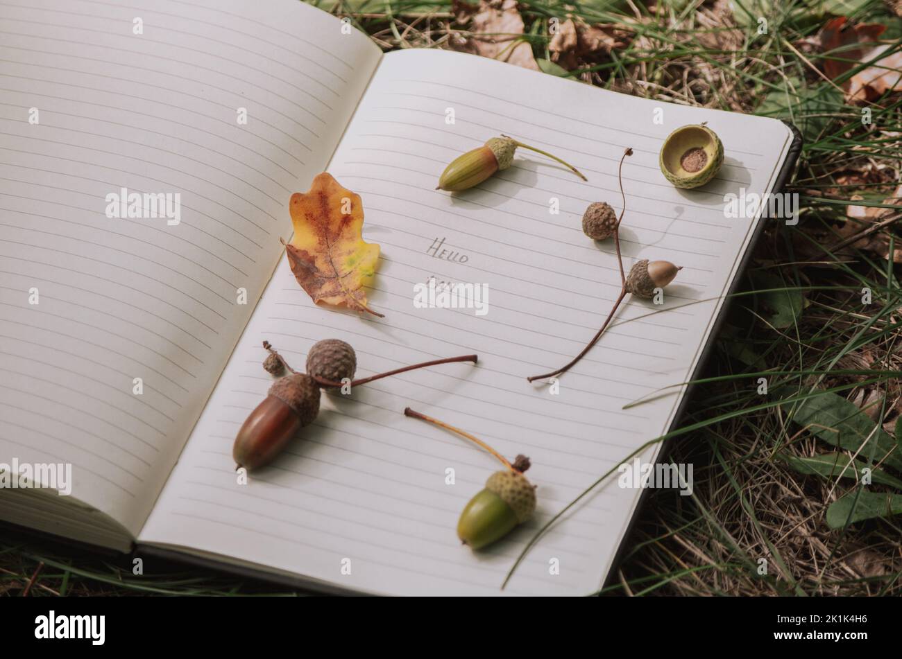 Close up page of diary with Hello Fall handwritten, decorated with ...