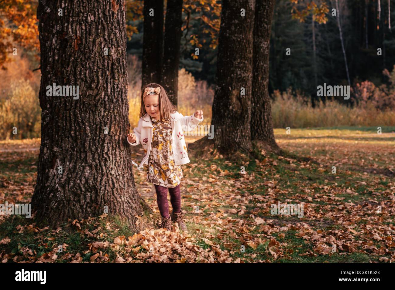 Little girl 3-4 years old runs on autumn leaves outdoor near large thick oak trunks in park in rays of setting sun and smiles. Dark haired child in Stock Photo