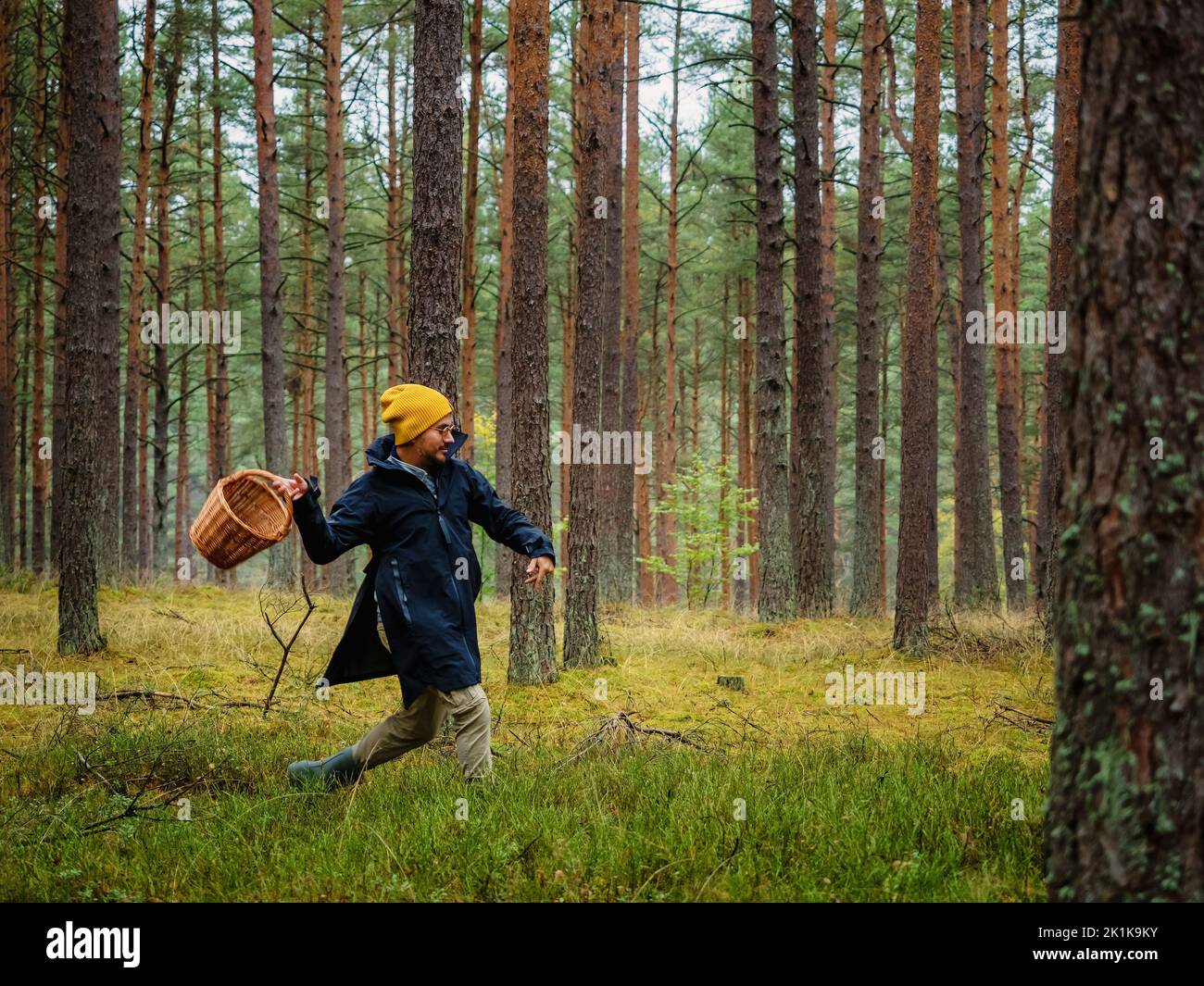 funny one person searching for a mushrooms in an autumn deep forest. mushroomer with a basket in a woods Stock Photo