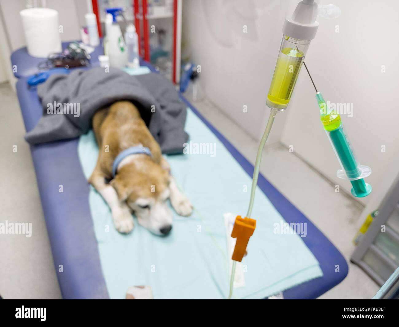 Intravenous anesthesia hires stock photography and images Alamy