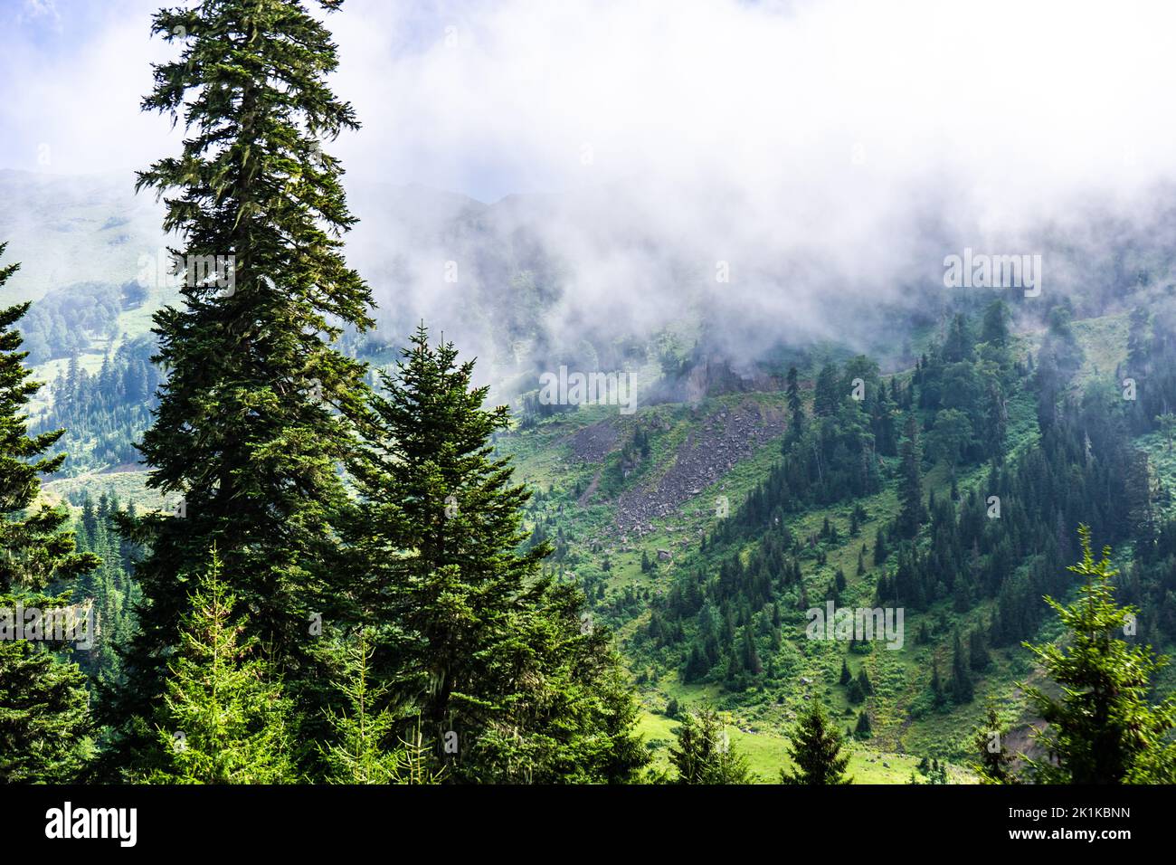 Low cloud over forest in the Caucasus mountains near Bakhmaro, Chokhatauri, Guria, Georgia Stock Photo