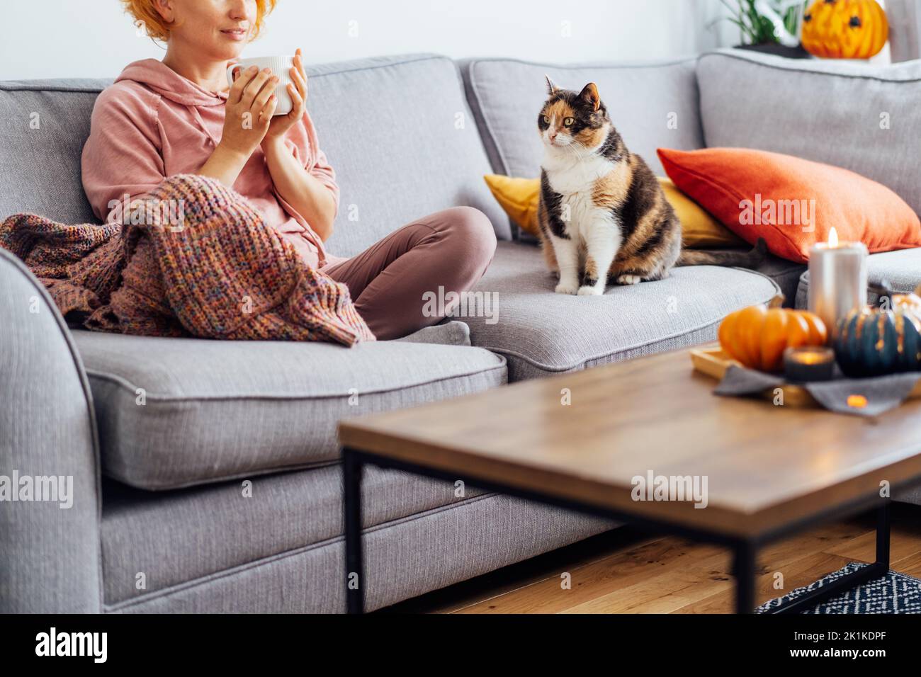 Unrecognizable woman in plaid holding cup of tea or coffee, watching movie, TV with multicolored cat on the sofa at home, decorated for fall holidays. Stock Photo