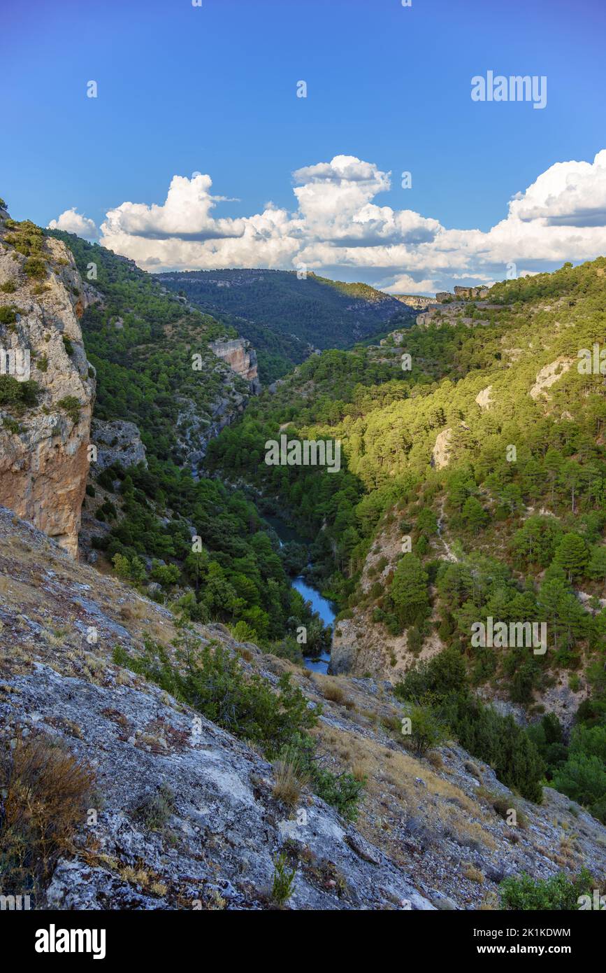 A river at the bottom of a canyon with lots of vegetation Stock Photo