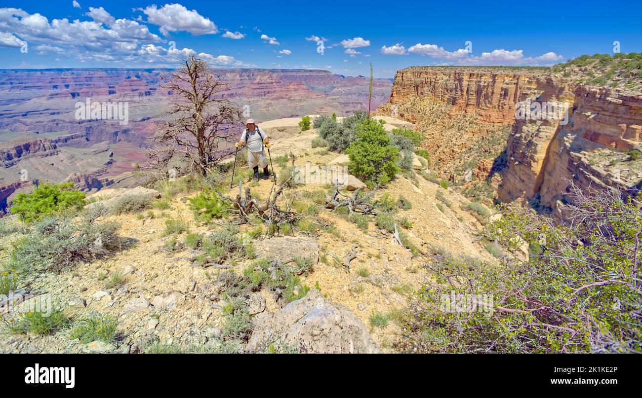 Man hiking between Moran Point and Zuni Point, Grand Canyon National Park, Arizona, USA Stock Photo