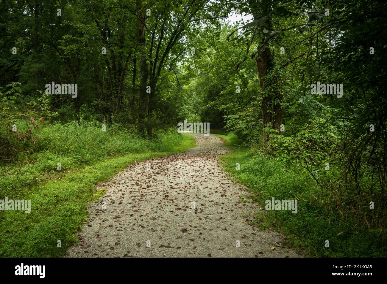 Forest Path - Beckley Creek Park - Louisville - Kentucky Stock Photo