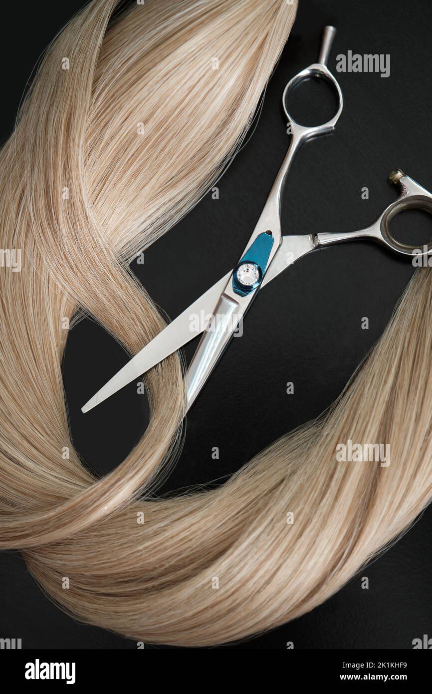 A strand of blond hair with scissors on a black background. Close-up. Stock Photo