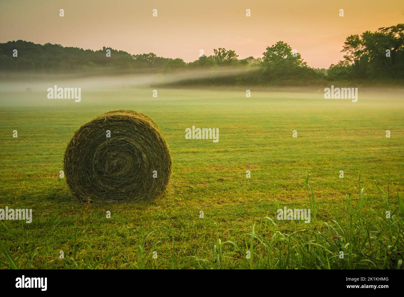 Early Morning Fog - Kentucky Hay Farm - Pope Lick Stock Photo