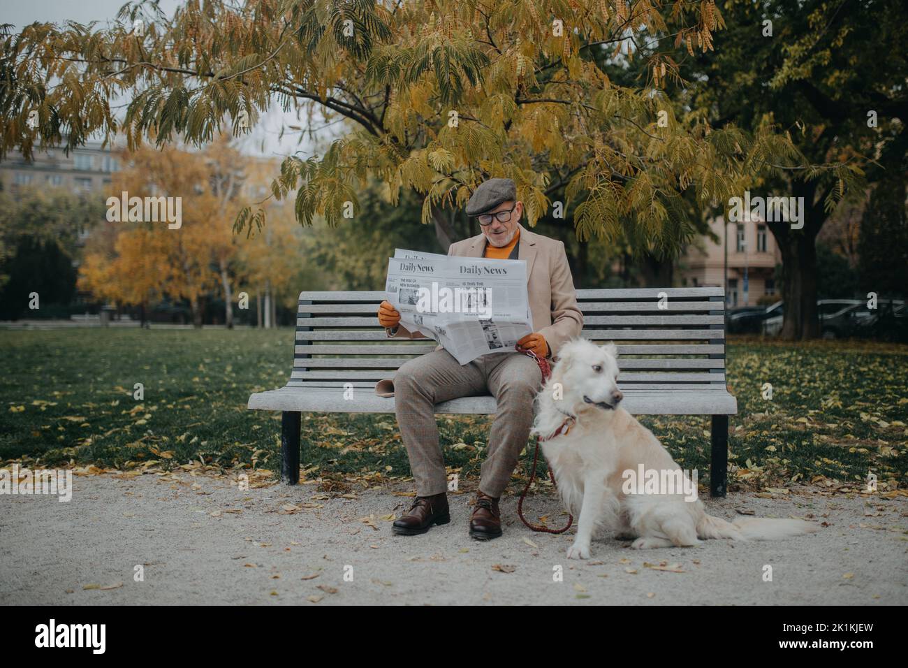 Happy senior man sitting on bench and reading newspaper during dog walk ...