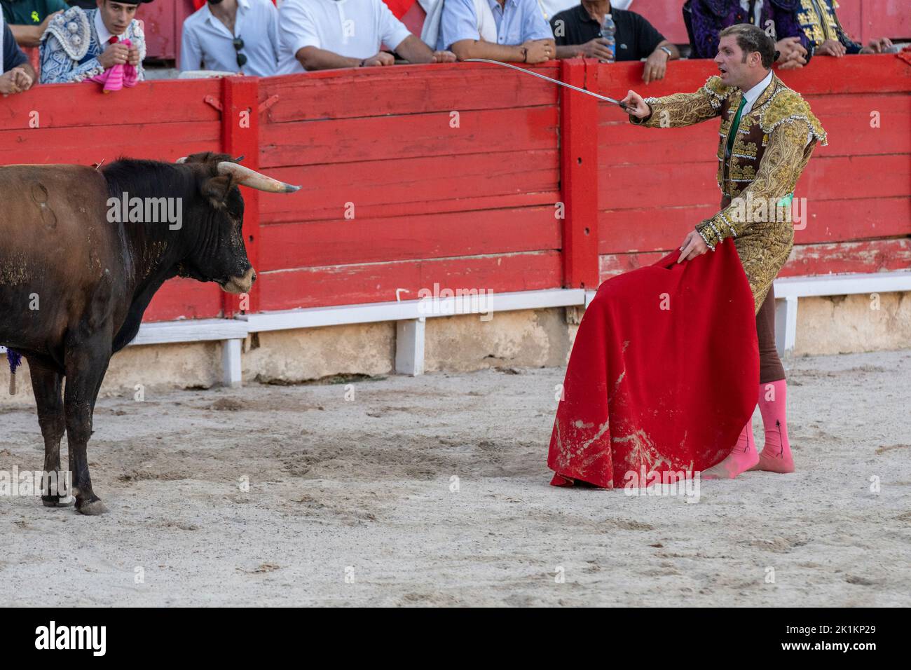 bullfighter capping a steer, heifer bullfight, Inca, Majorca, Balearic Islands, Spain Stock Photo