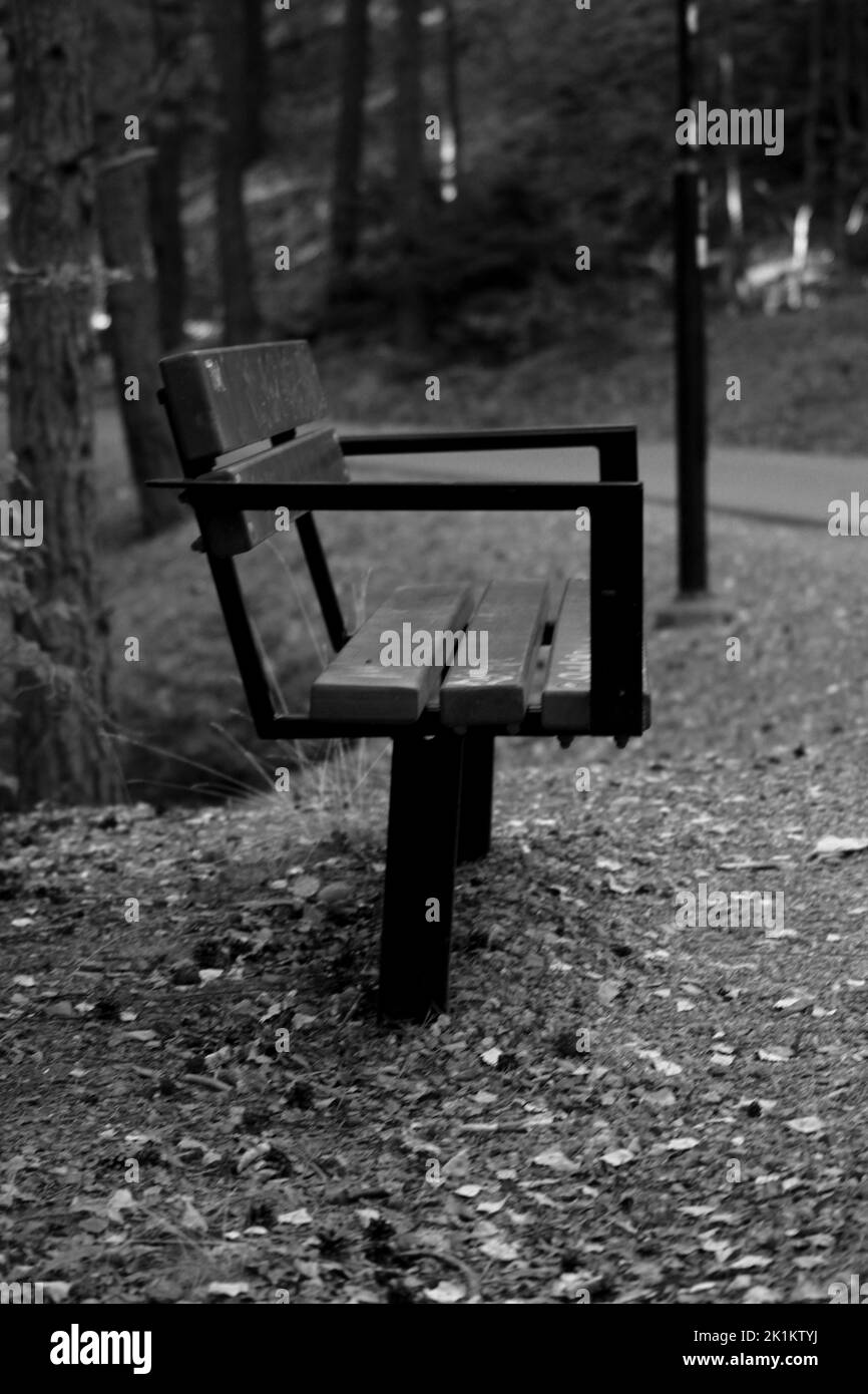A greyscale shot of an old bench in a park Stock Photo
