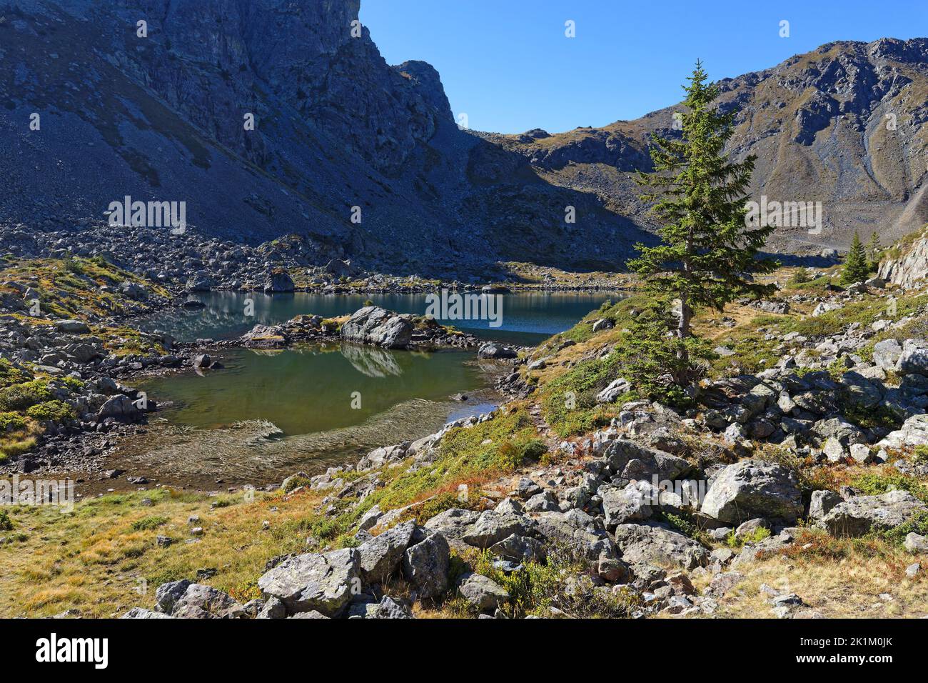 Rocks and trees around the small thrid mountain lake of Lacs Robert Stock Photo