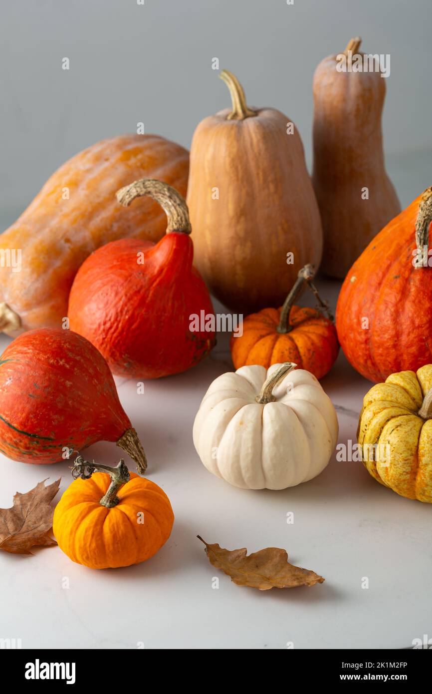 Autumn pumpkin set still life holiday concept hokkaido butternut Stock Photo