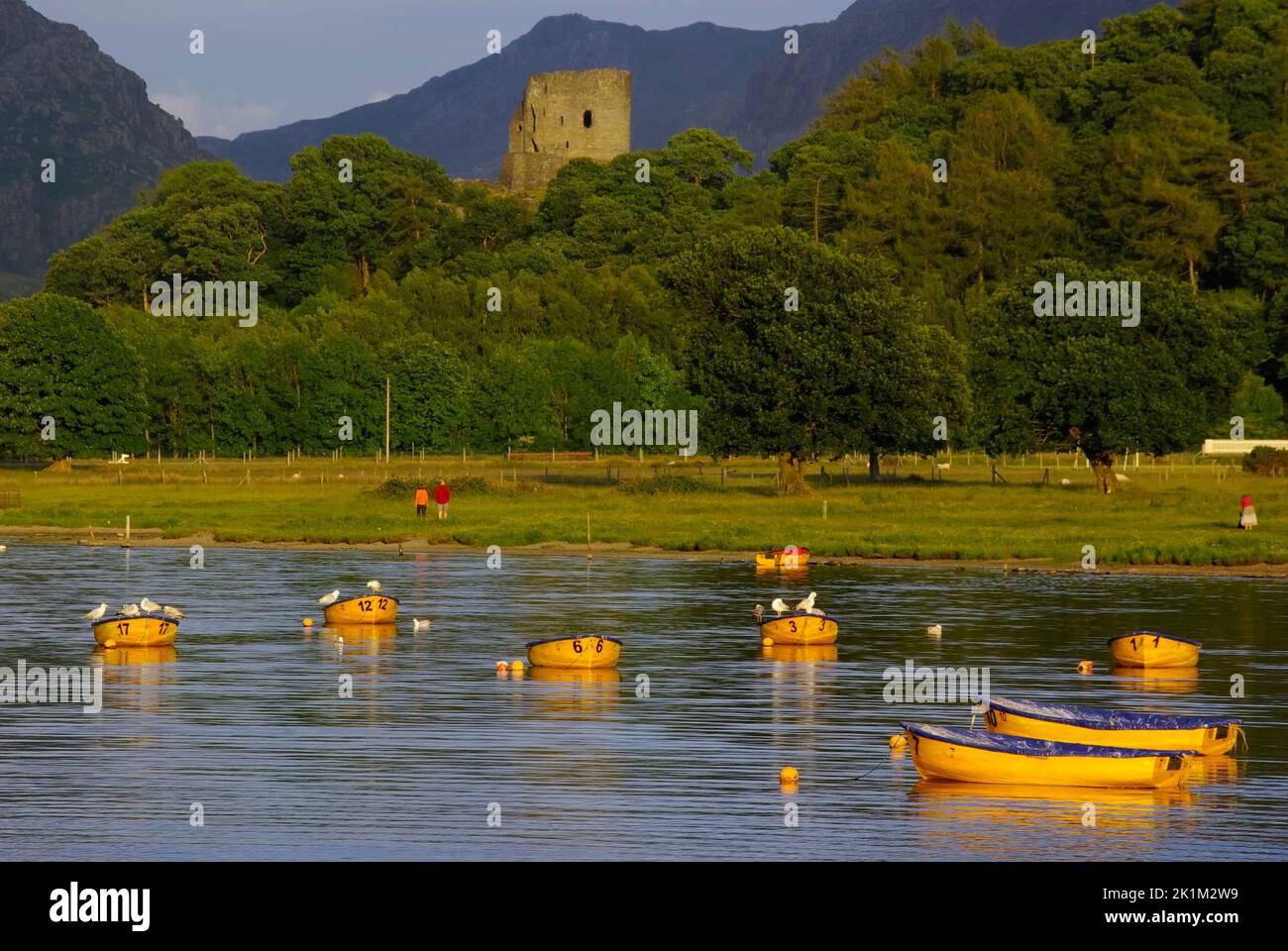 Padarn, Castle, Llanberis, Gwynedd, North Wales, Great Britain, Stock Photo