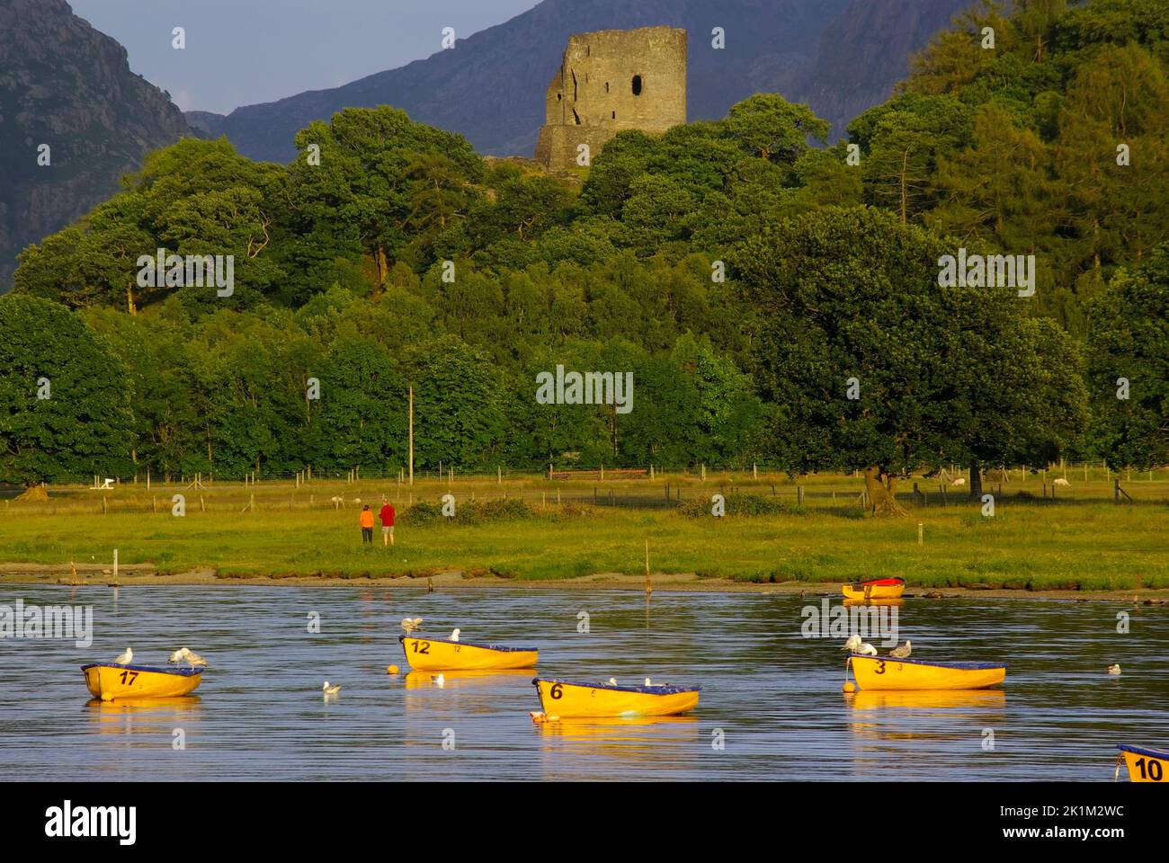 Padarn, Castle, Llanberis, Gwynedd, North Wales, Great Britain, Stock Photo