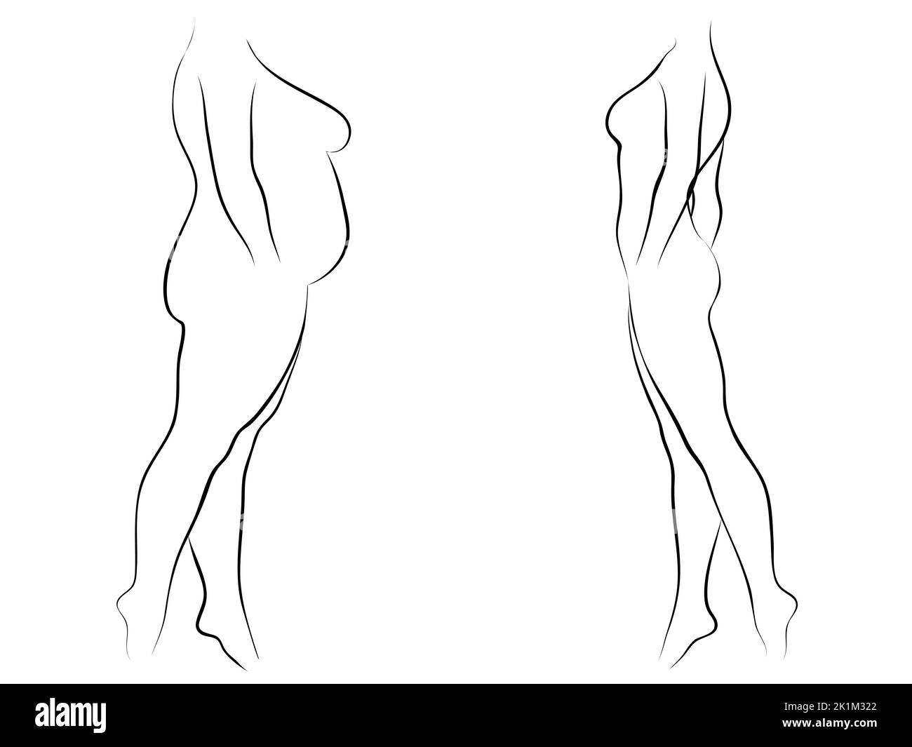 Conceptual fat overweight female vs slim fit healthy body after weight loss or diet with muscles thin young woman. 3D illustration for fitness Stock Photo