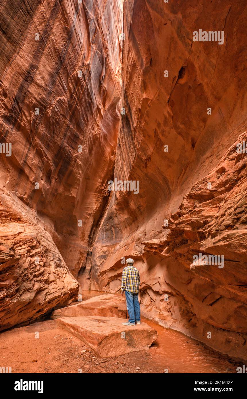 Hiker inside unnamed slot canyon, at side of Long Canyon, Burr Trail Road, Grand Staircase-Escalante National Monument, near Boulder, Utah, USA Stock Photo