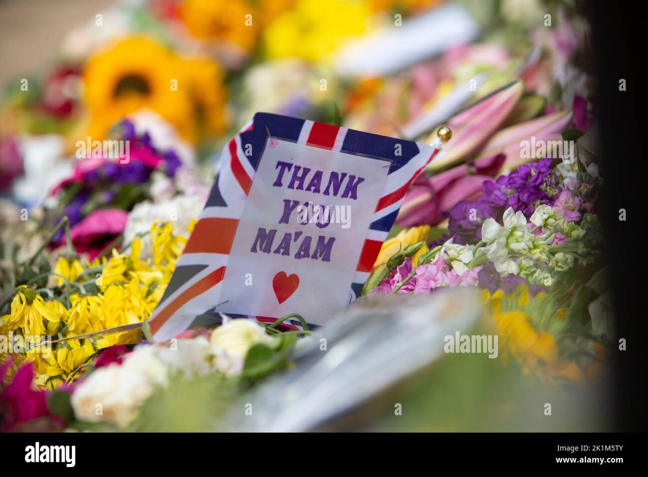 Edinburgh 19th September 2022. Funeral of The Queen Elizabeth II on 19th September 2022 take place in London. A big screen has been installed in Hollyrood gardens in Edinburgh where members of the public can go and see the funeral. Pic Credit: Pako Mera/Alamy Live News Stock Photo