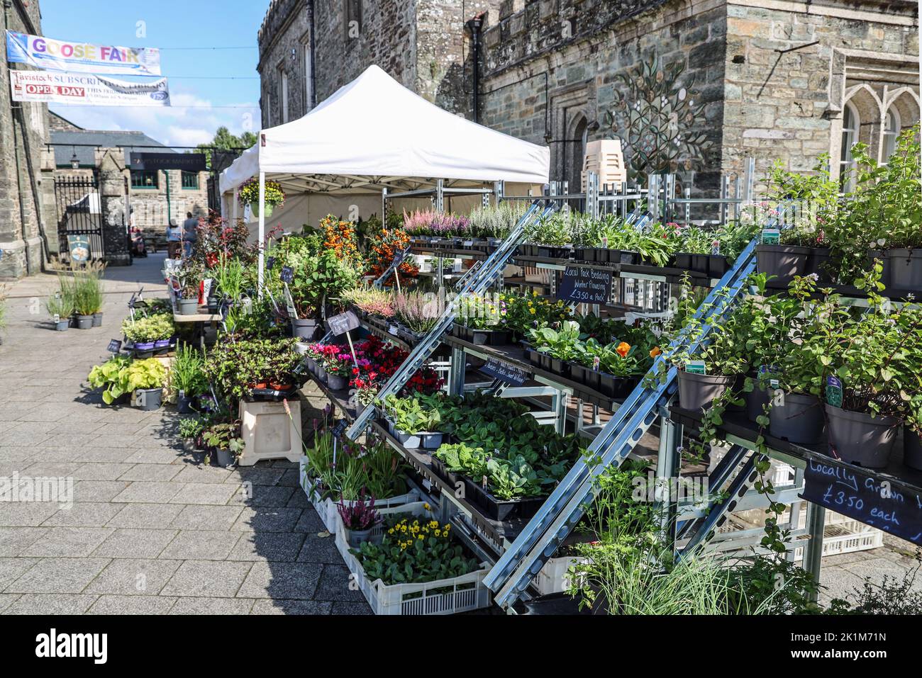 Locally grown garden plants on sale in the open air market at Bedford