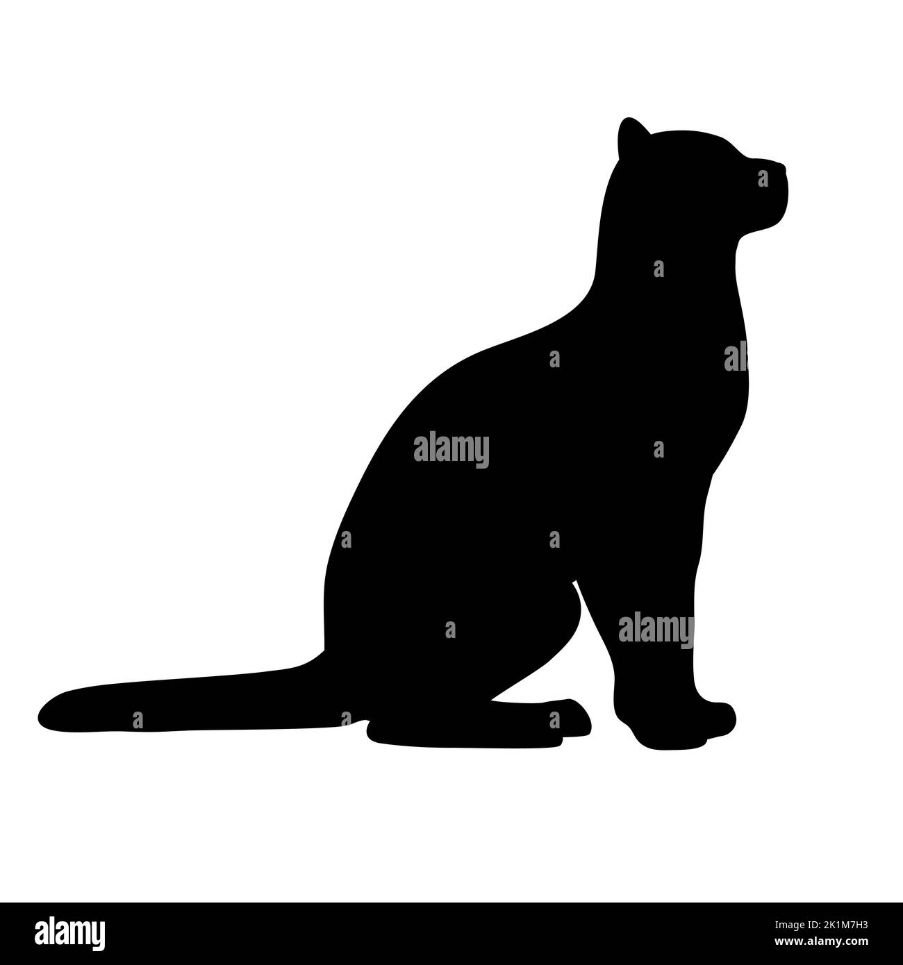 Vector flat hand drawn cat silhouette isolated on white background ...