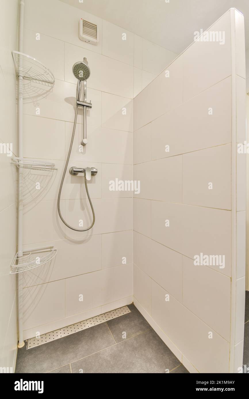 partition between shower tap and wall hung toilet in modern restroom at