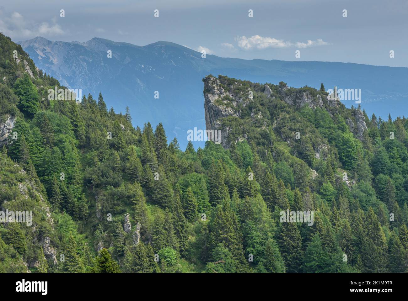 Wooded Ridges Wooded limestone ridges between Monte Tremalzo and Lake Garda, southern ...