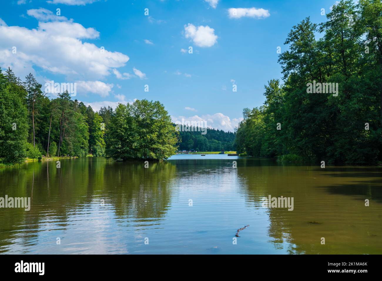 Germany, Ebnisee lake water nature scenery between green trees of forest near welzheim and kaisersbach village in summer Stock Photo