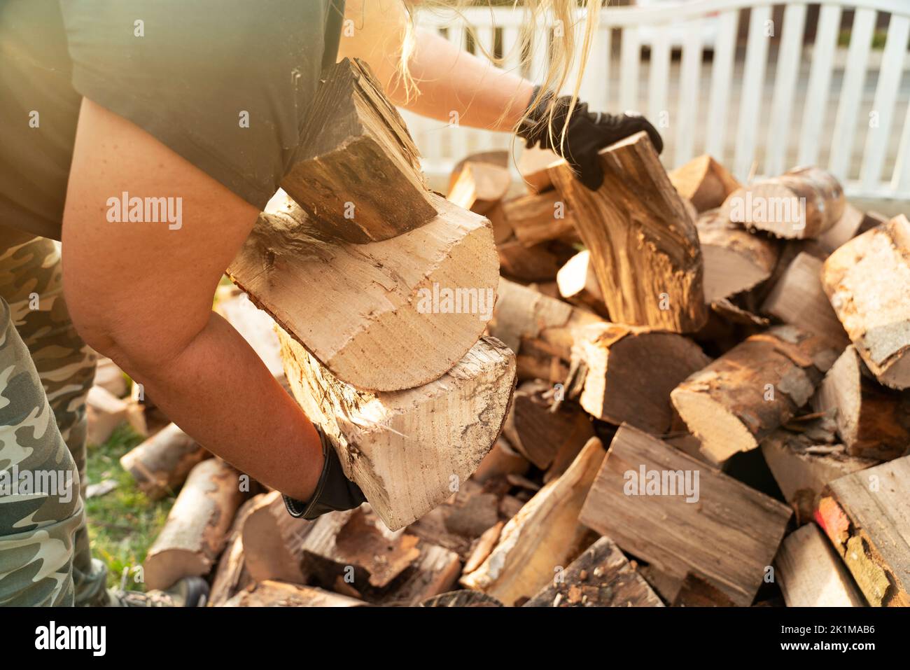 A woman in casual clothes collects beech logs. Firewood has been delivered to the front garden and is being stored on a firewood shelf for the winter. Stock Photo
