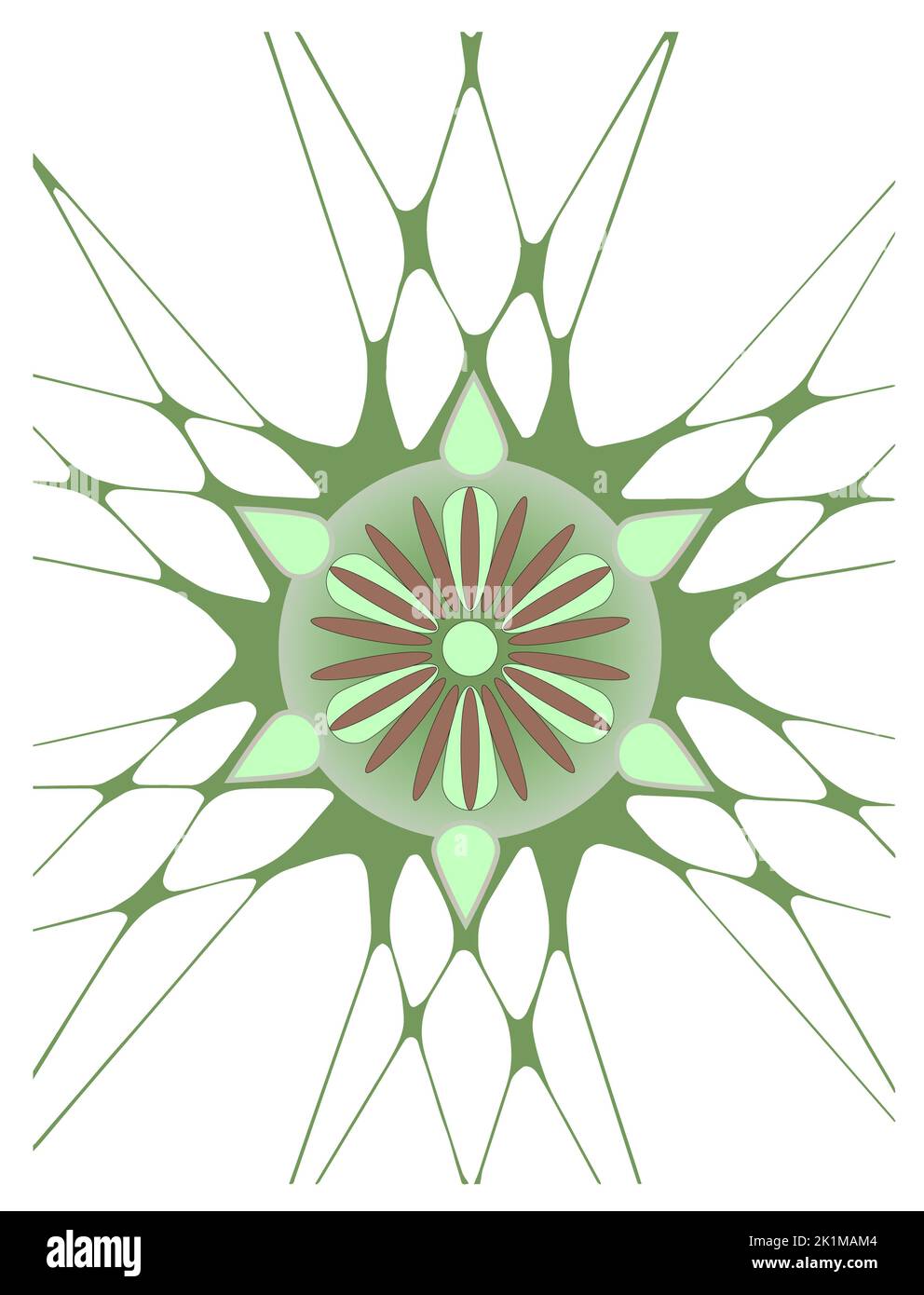 Polar ornament pattern, lace, style and inspiration for embroidery ...