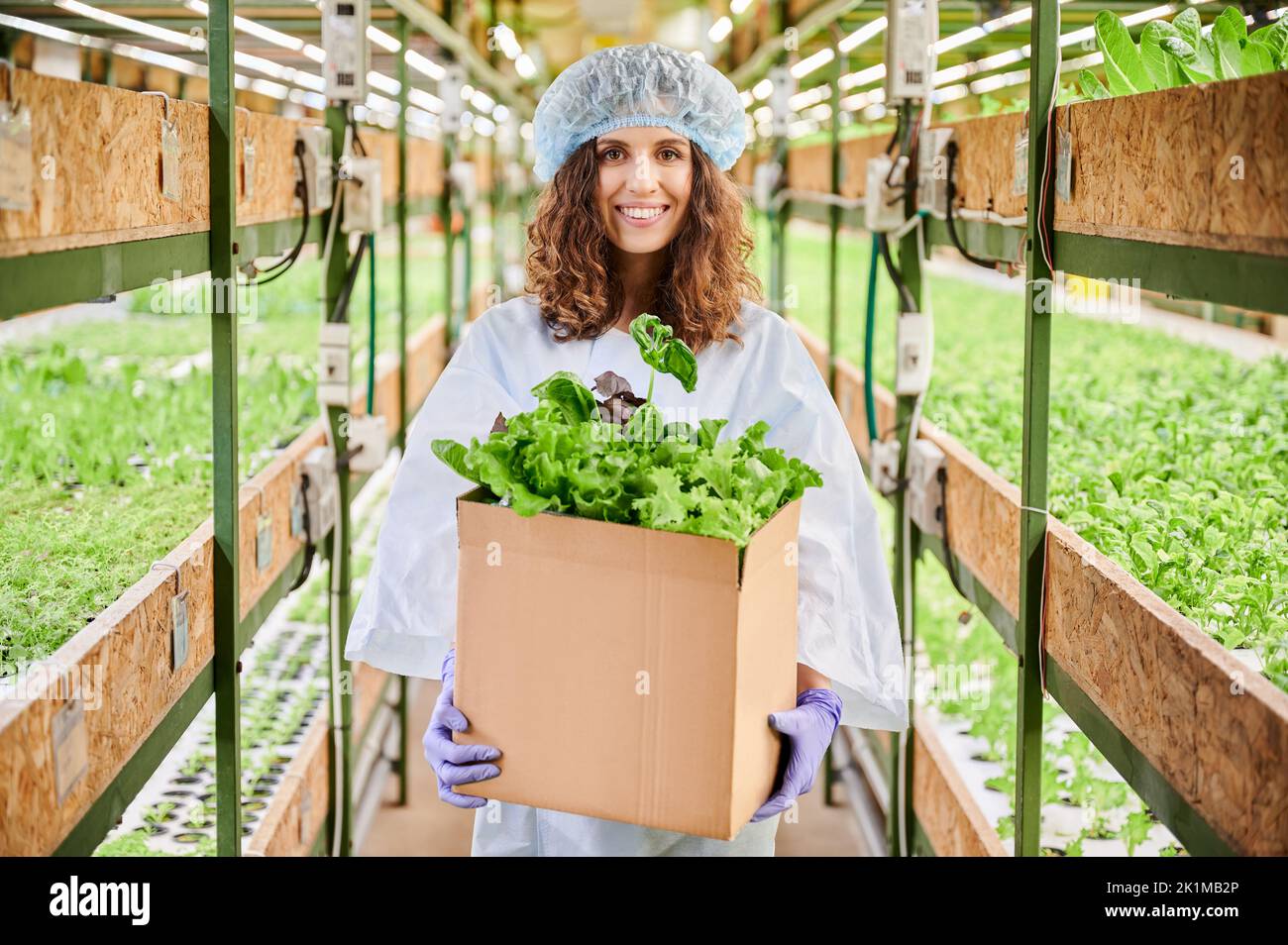 Joyful female gardener looking at camera and smiling while holding cardboard package box with green leafy plants. Woman with packed leafy greens standing near shelves with seedlings in greenhouse. Stock Photo