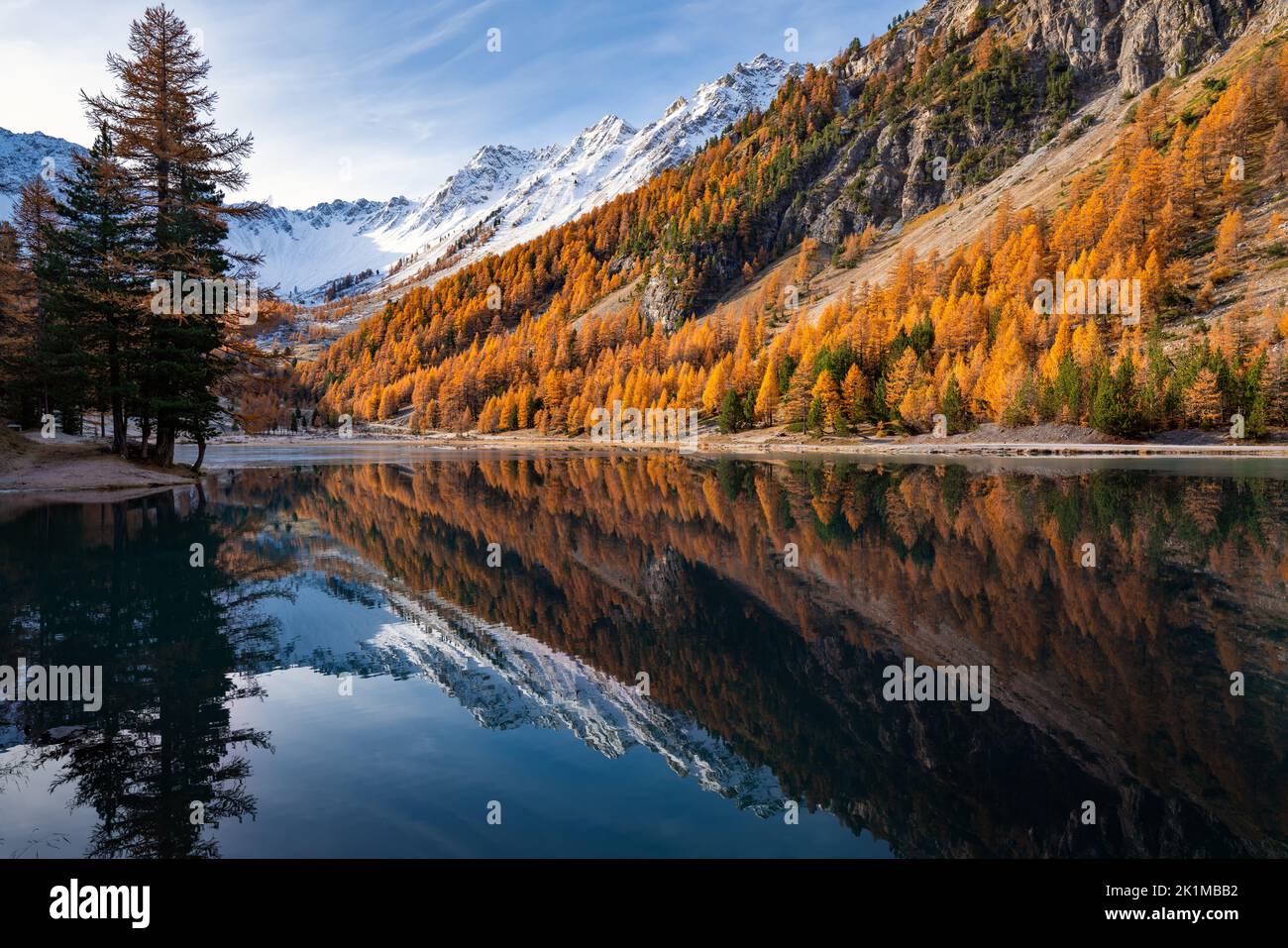 French Alps. Orceyrette Lake in Autumn with golden larch trees. Briancon Region in the Hautes-Alpes. France Stock Photo