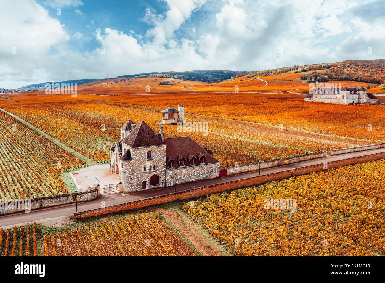 Castle and vineyards in Burgundy, aerial view in autumn. France Stock