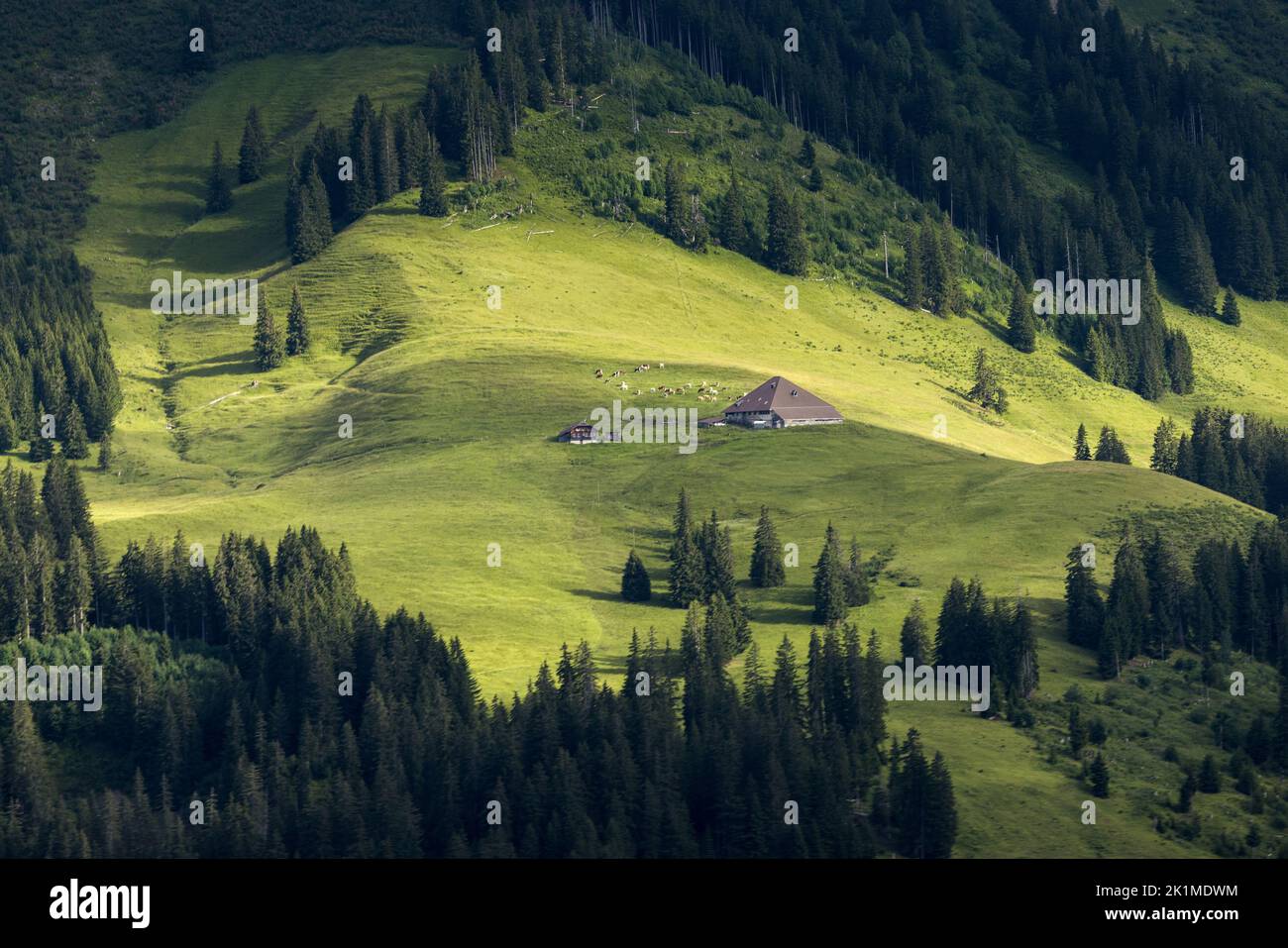 remote alpine farm hut in the Bernese Alps Stock Photo