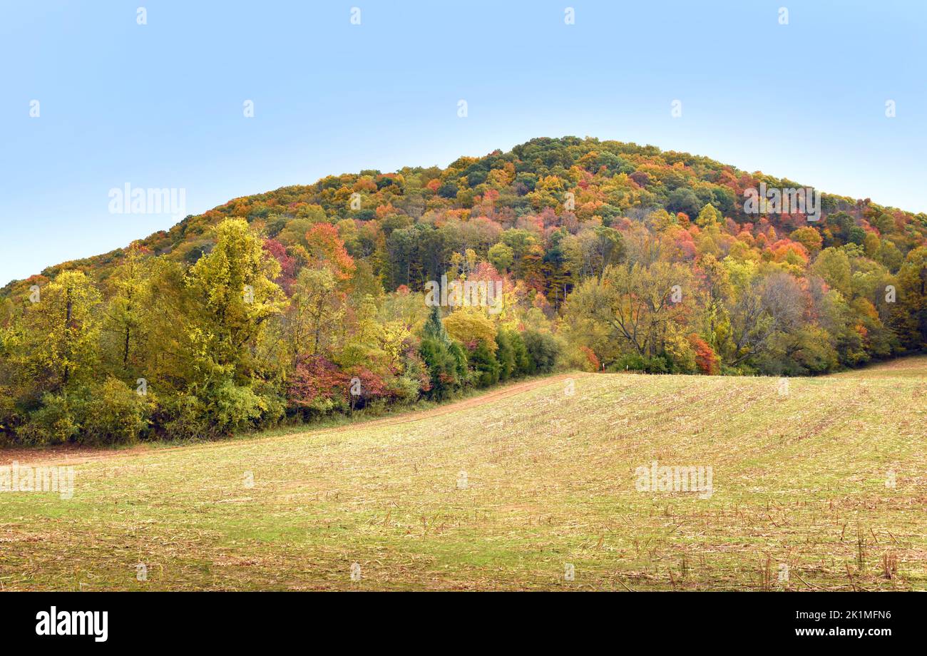 Small dirt road skirts around the Appalachian Mountains besides field.  Autumn Colors mountains with red, orange and yellow. Stock Photo