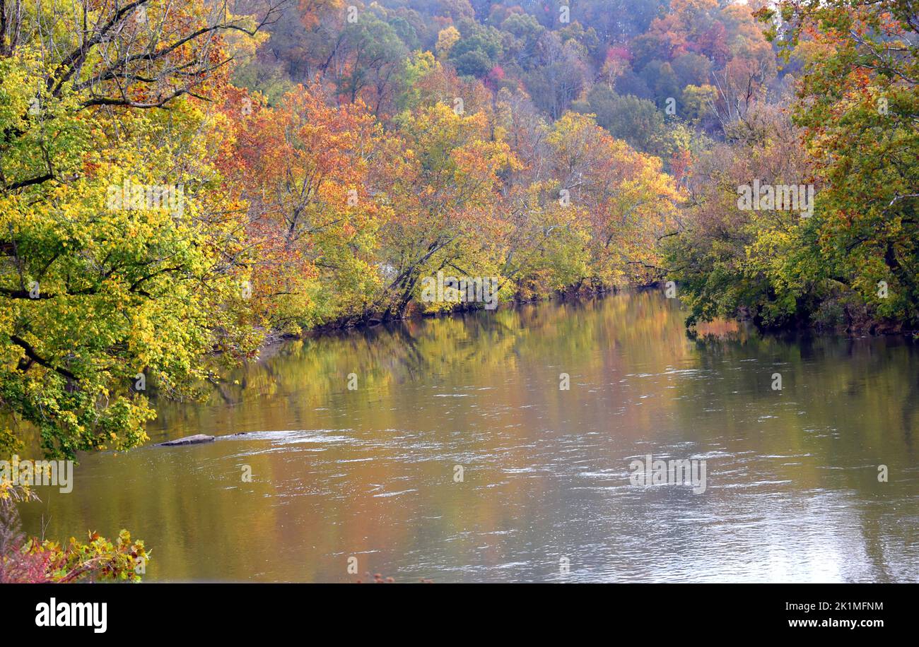 Autumn leaves line the French Broad River in Tennessee. Trees are reflected besides the shoreline. Stock Photo