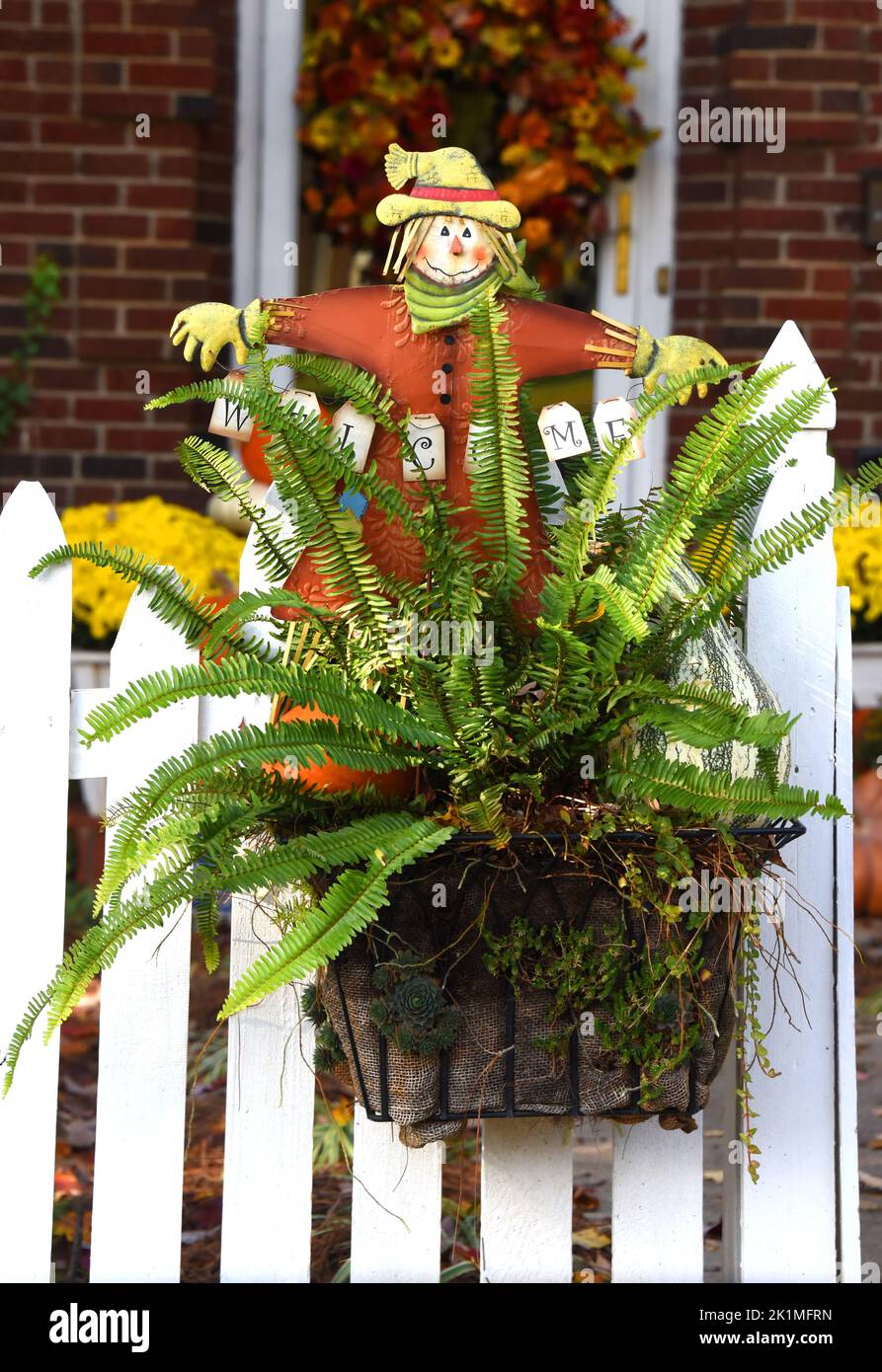 Autumn Scarecrow welcomes visitors with open arms.  He is perched in a pot sporting an air fern. Gate and fence are white picket. Stock Photo