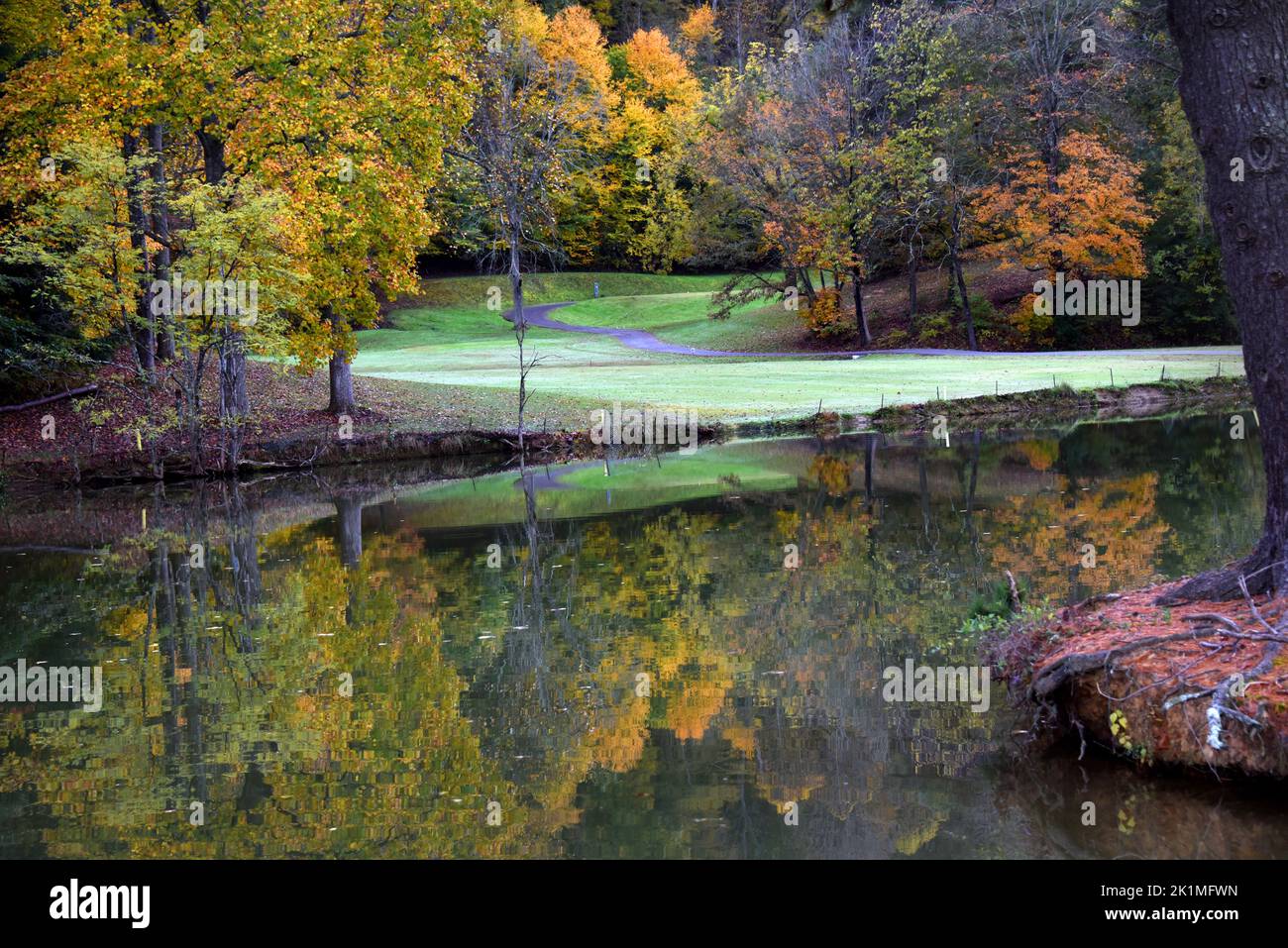 Autumn trees are reflected in the still waters of Steele Creek Lake in Bristol, Tennessee.  Golf cart track curves around golf course. Stock Photo