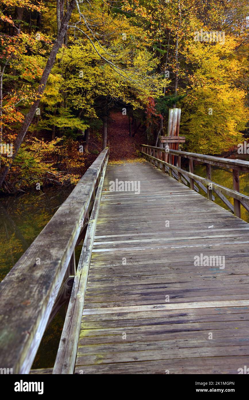 Wooden footbridge leads to the Slagle Hollow Knob Trail in Steele Creek Park, Bristol, Tennessee.  Autumn leaves form tunnel and cover ground at start Stock Photo