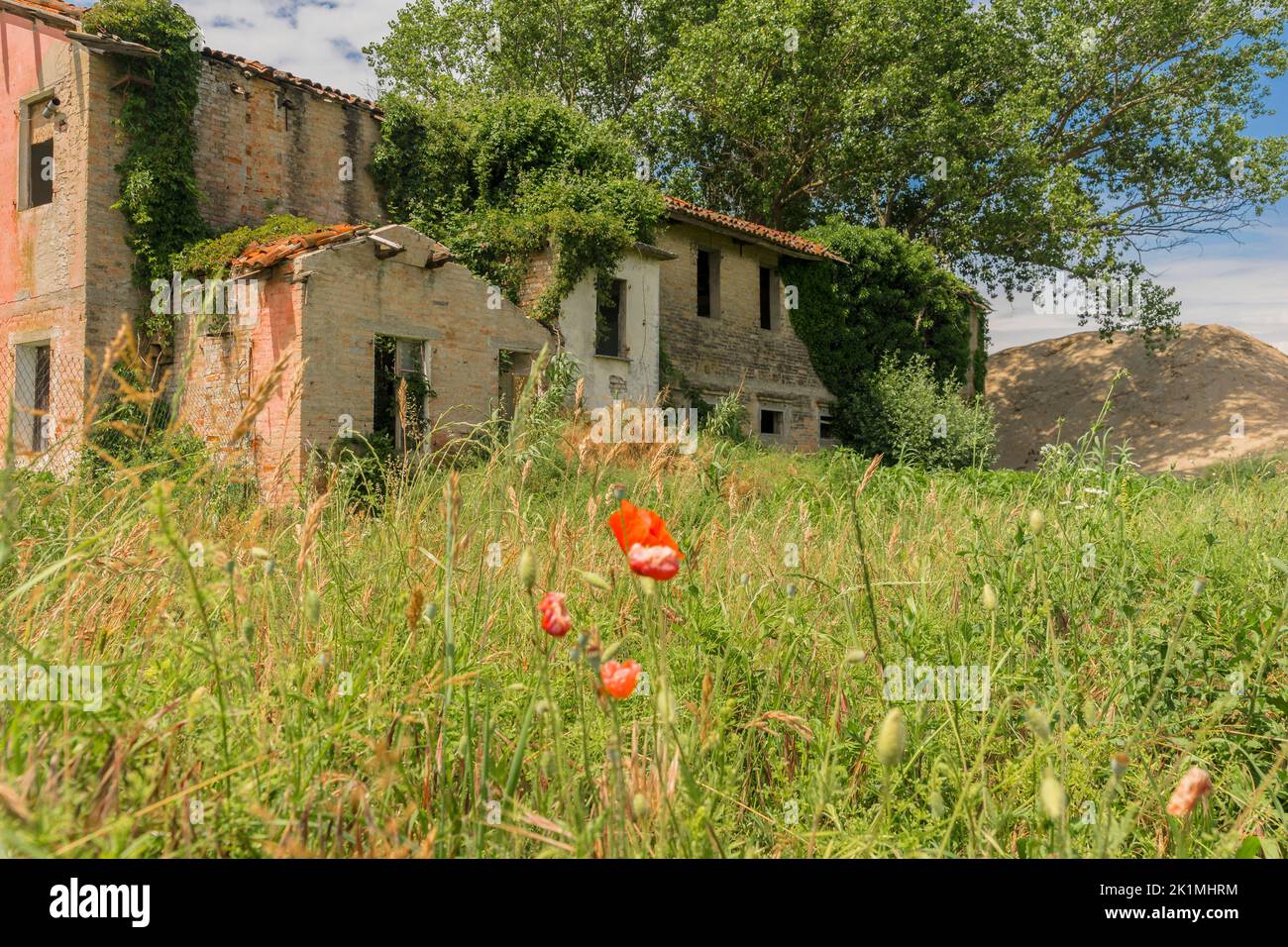 An old abandoned building in the middle of the rice field Stock Photo ...