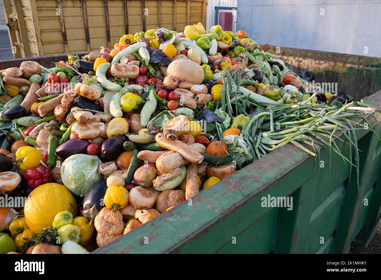Expired Organic bio waste. Mix Vegetables and fruits in a huge