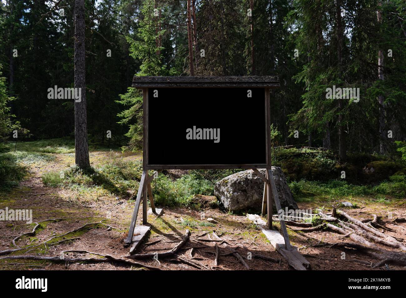 Blackboard in a Scandinavian pine forest in summer Stock Photo Alamy