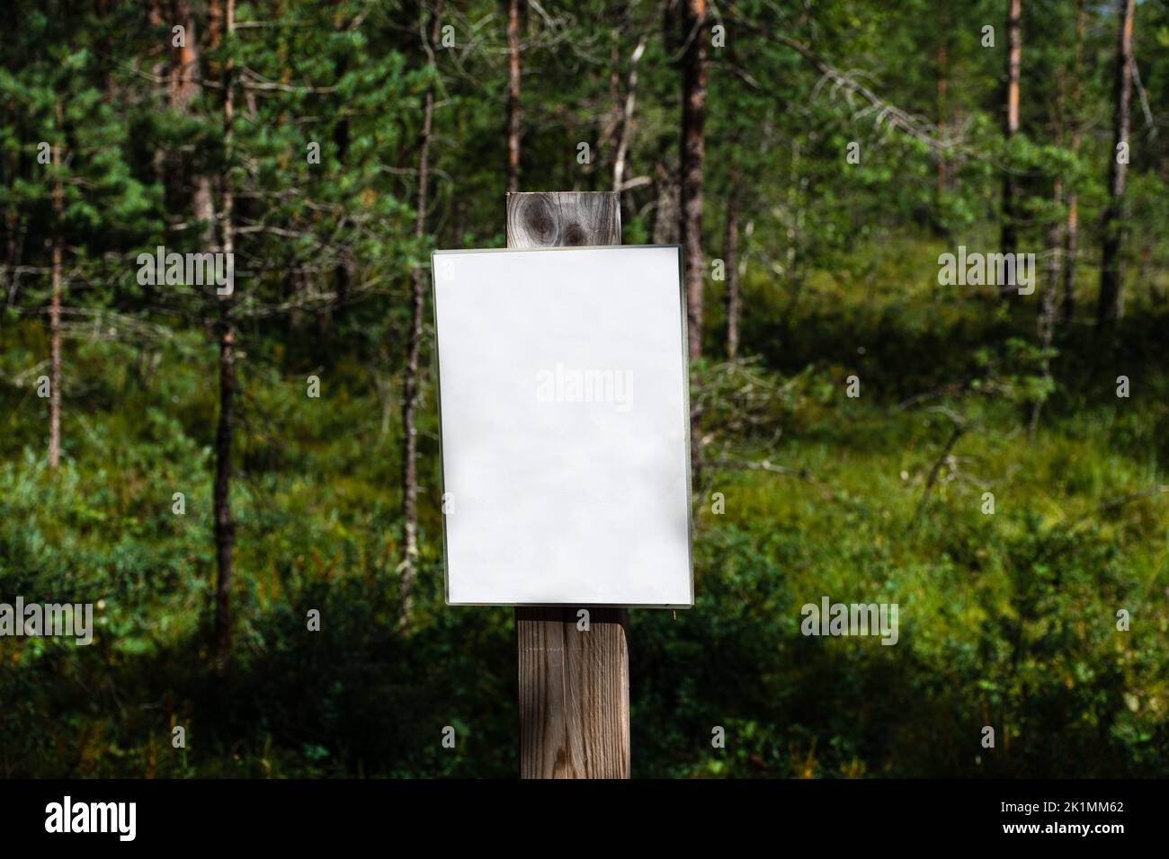 Blank white sign with green nature background of a Finnish forest Stock ...
