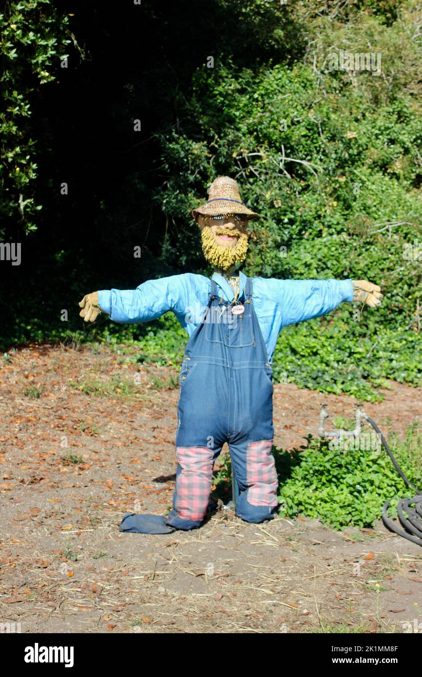 Scarecrow, Wilder Ranch State Park, Santa Cruz, California Stock Photo