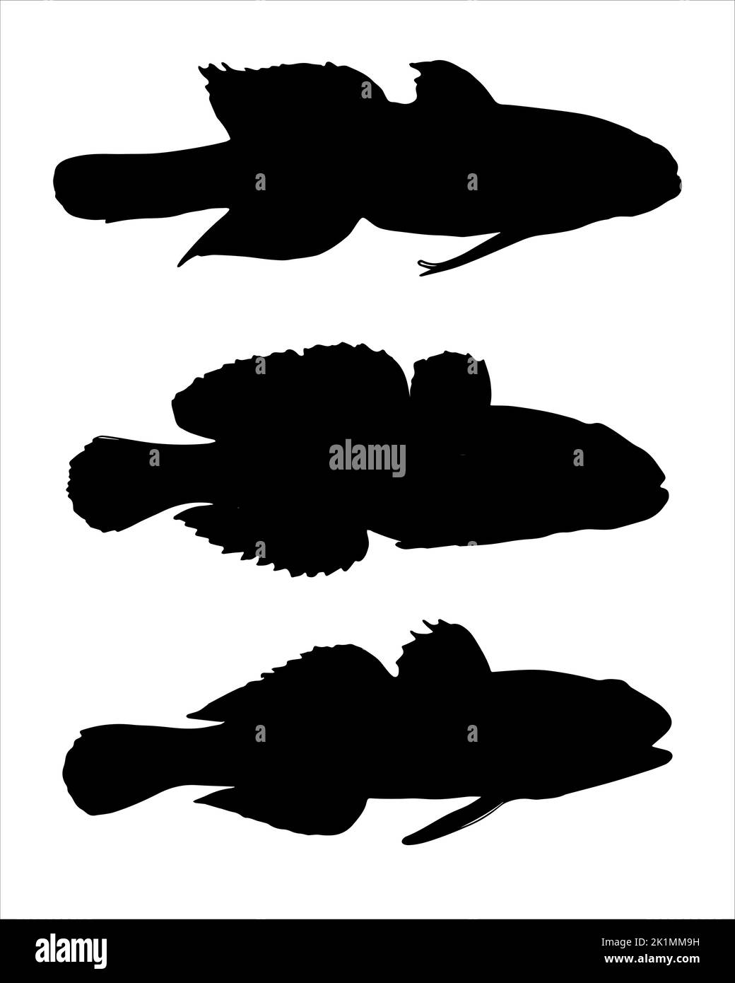 Set of black silhoette goby fishes on the white background. Stock Vector