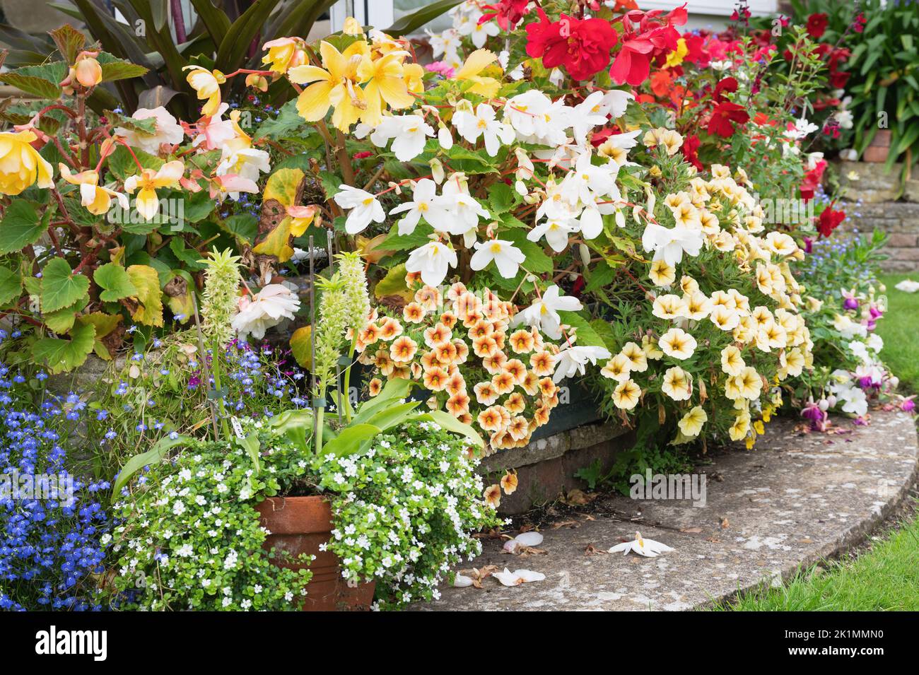 Beautiful potted flowers arrangements in the garden Stock Photo