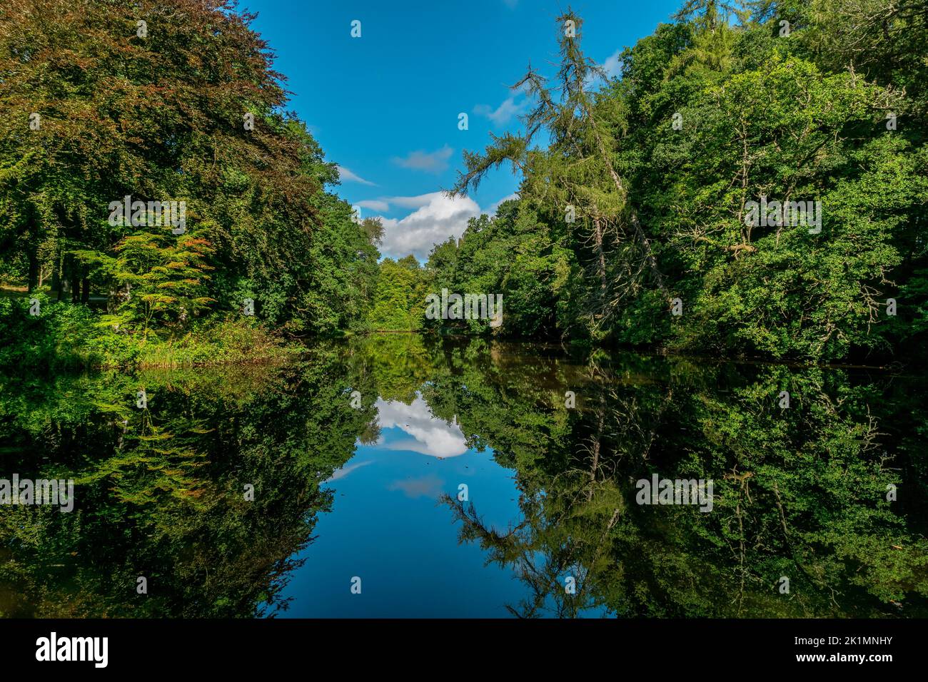 Trees ref;ected in the water of a large boating pond Stock Photo - Alamy