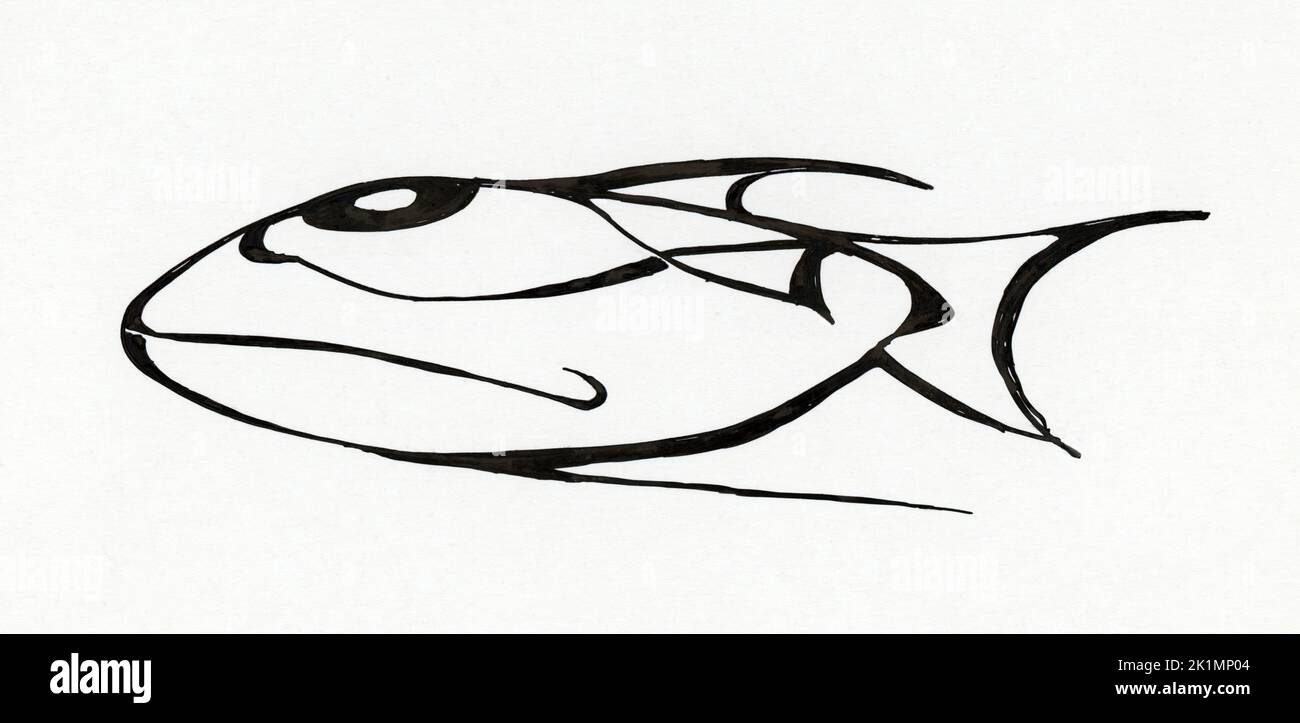 Drawing with black ink of a frightened fish with big eyes Stock Photo