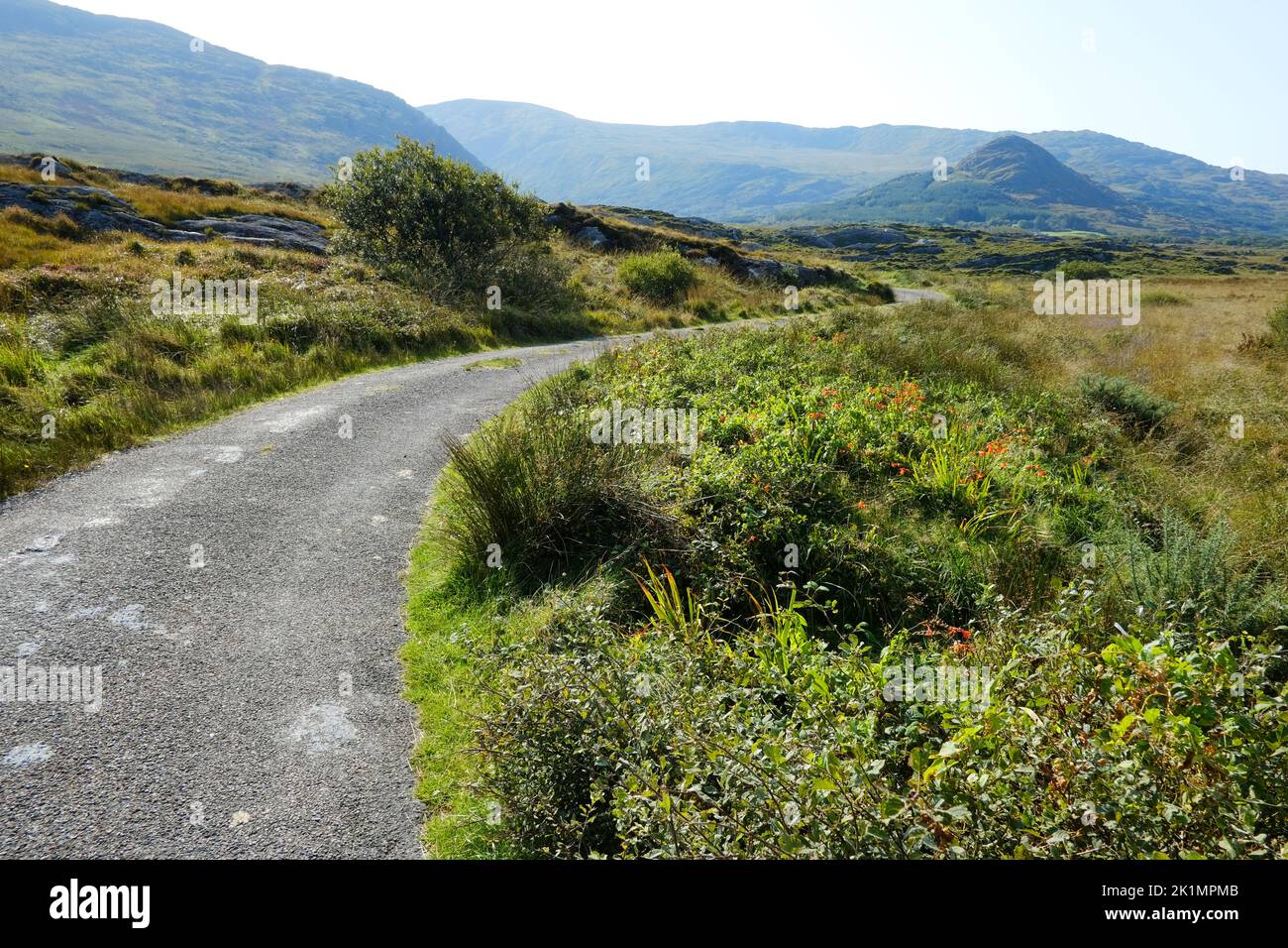 Single track road winding through the County Cork landscape near Ardgroom - John Gollop Stock Photo
