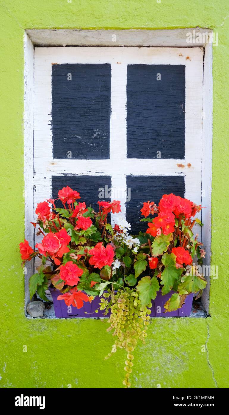 Window box display, Ardgroom, County Cork, Ireland - John Gollop Stock Photo