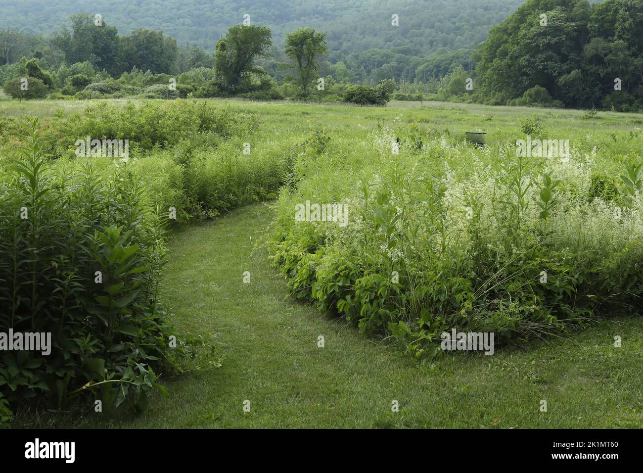 Part of Townshend State Forest, includes 1,095 acres in Townshend, Vermont. It is on a steep