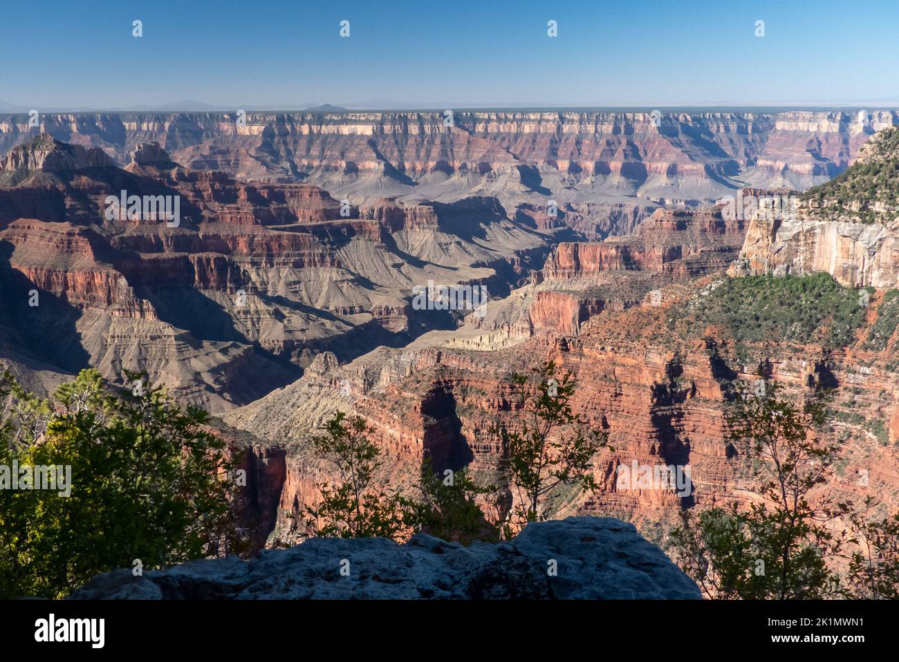 Arizona, USA: the Grand Canyon taken from the North Rim Stock Photo